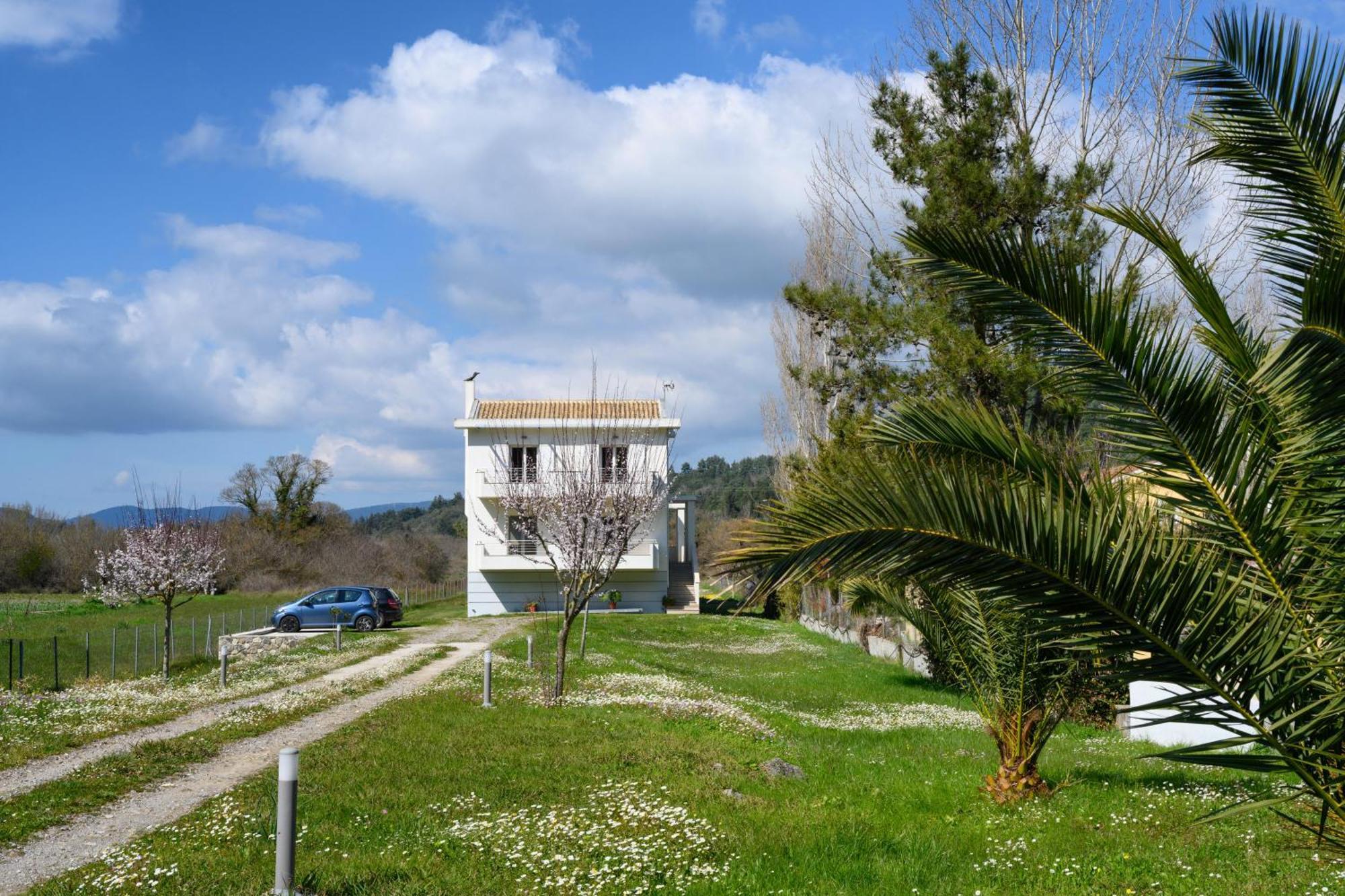 Aliki's Luxury With View, Pet Friendly! Apartment *